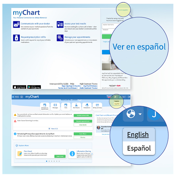 The desktop version of the myChart homepage - highlighting the language toggle.