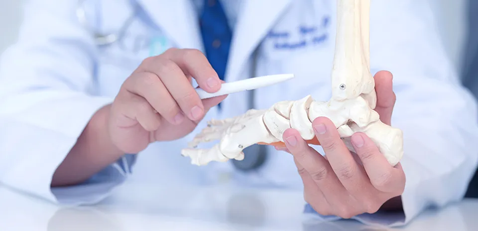 Image of doctor with a foot skeleton and pen