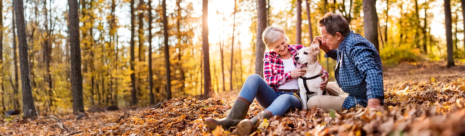 A couple and their dog are sitting in the woods on a beautiful fall day.